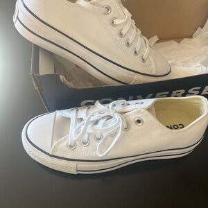 All Star Lift Platform Canvas sneaker